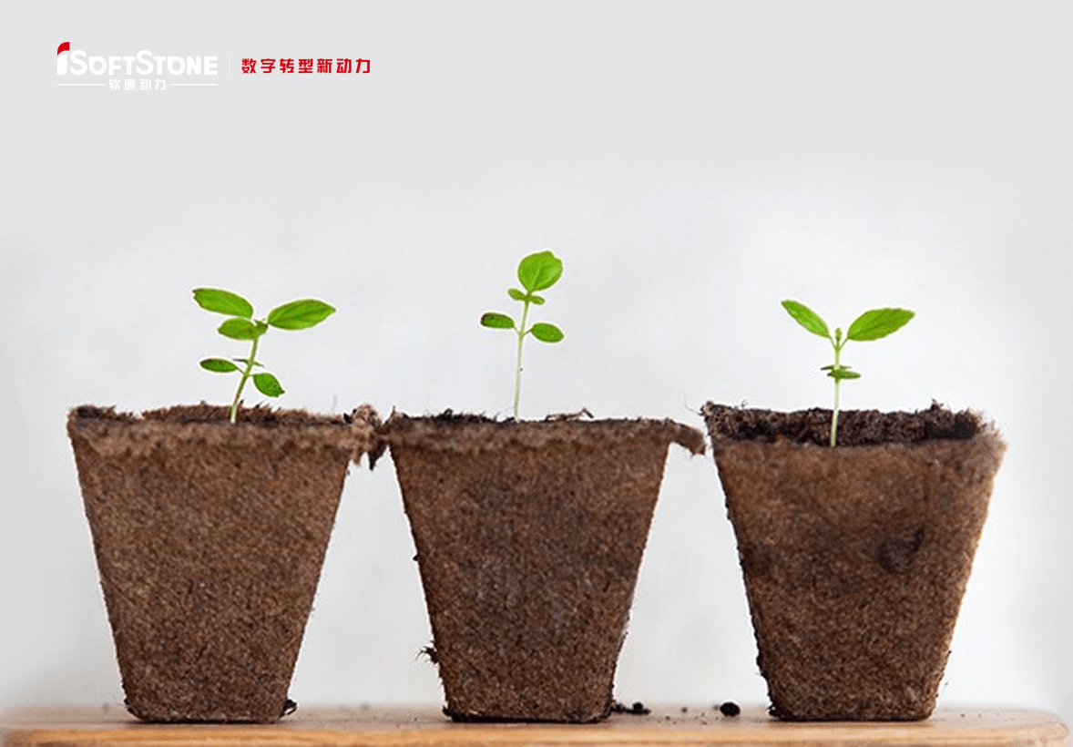 学術的継続可能の革命精神で地方の子供たちに愛を渡す——iSoftStoneは再び公共福祉教育を支援する。。。。。